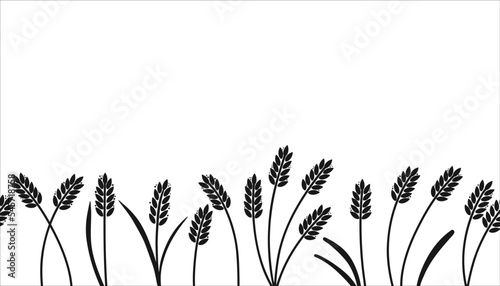 Wheat ears background. Barley or rice black silhouette seamless border, beer or bakery logo isolated pattern, organic farm elements for poster or banner, bread packaging, ripe spikelets vector set