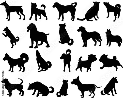 Illustration of different breeds of dog silhouettes on a white background