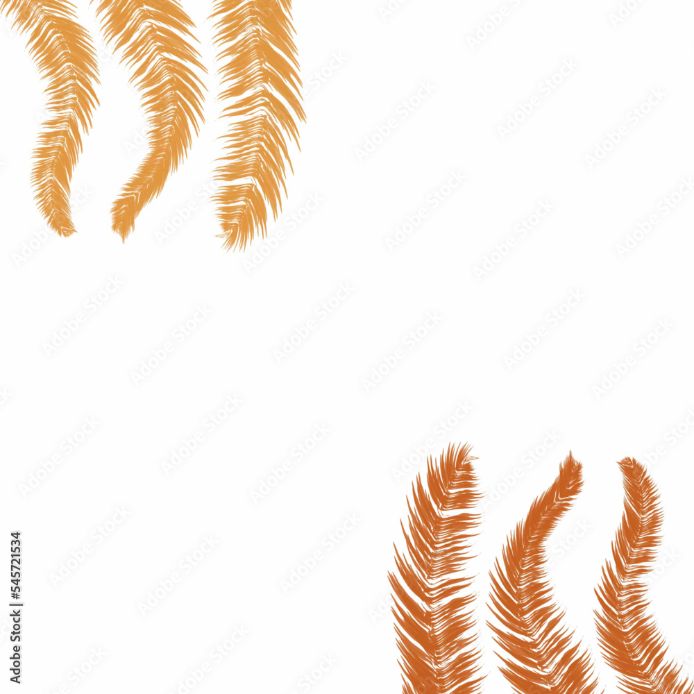 background with wheat a feather