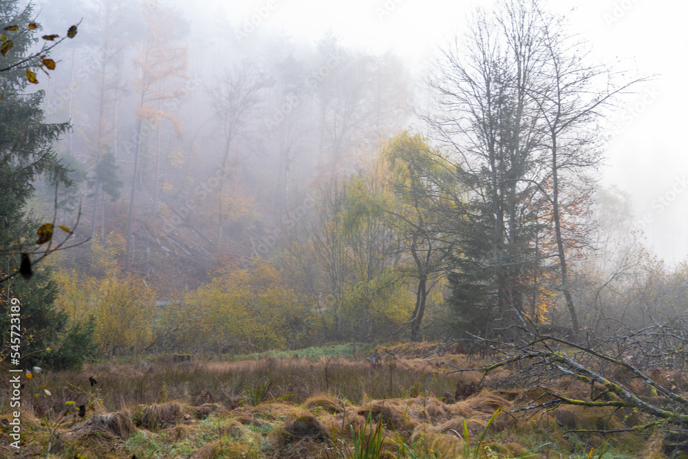 Bei Trippstadt- Karlstalschlucht-Pfalz im Herbst Bei Trippstadt- Karlstalschlucht-Pfalz im Herbst