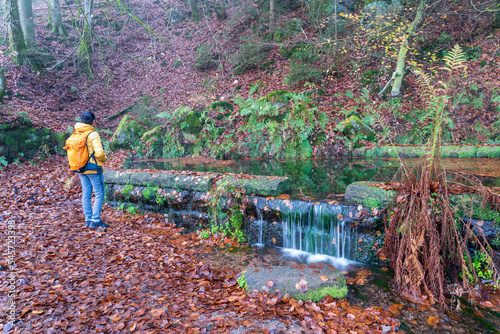 Bei Trippstadt- Karlstalschlucht-Pfalz im Herbst photo