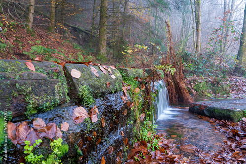 Bei Trippstadt- Karlstalschlucht-Pfalz im Herbst photo