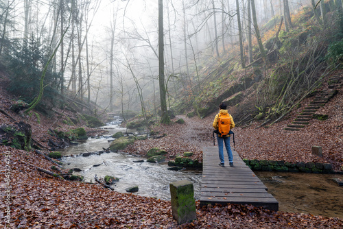 Bei Trippstadt- Karlstalschlucht-Pfalz im Herbst photo