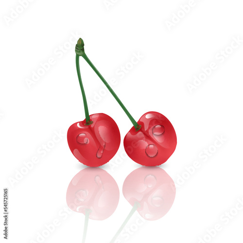 Cherry berry exotic fruits collection. Illustration of a cherry. Vector format