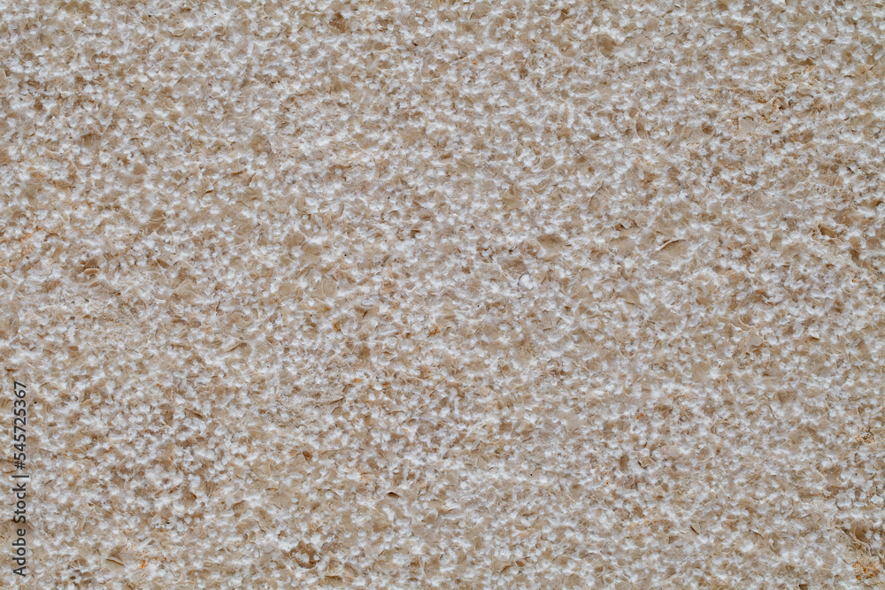 Background, structure of stone from sedimentary beige rocks shell rock close-up Background, structure of stone from sedimentary beige rocks shell rock close-up