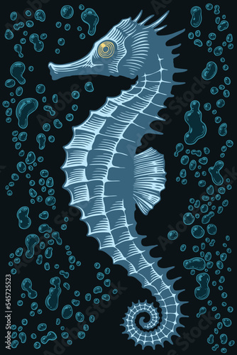 Sea horse in the sea. Editable hand drawn illustration. Vector vintage engraving. 8 EPS