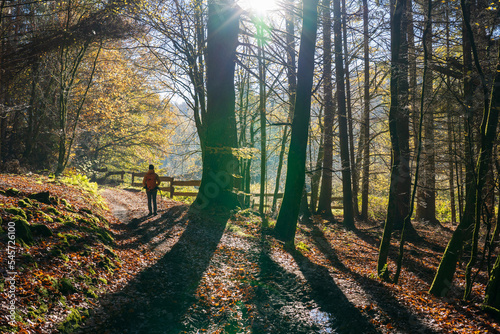 Bei Trippstadt- Karlstalschlucht-Pfalz im Herbst