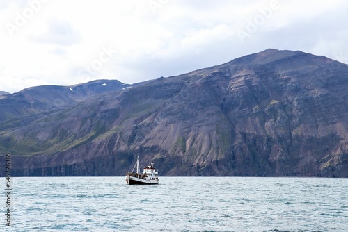 Cruise ship sailing on a body of water against rocky mountains