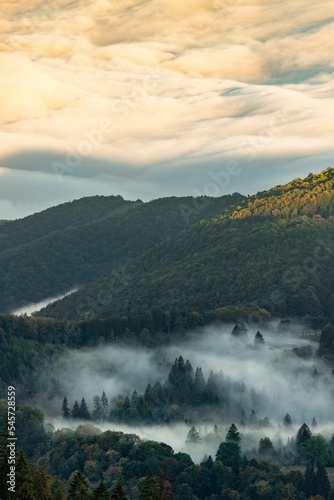 Vertical shot of a landscape with clouds over the fir forest trees at sunset