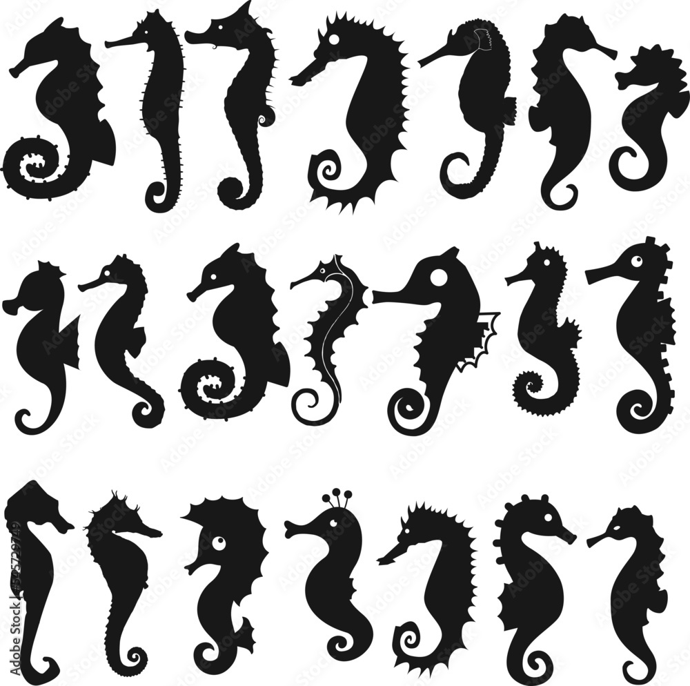 Editable set of illustrated silhouettes of seahorses on a white background