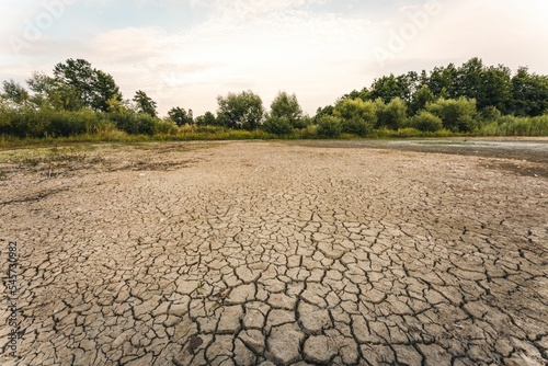 Cracked soil of a dry lake before green trees in Bavaria Germany