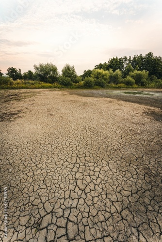 Vertical view of the cracked soil of a dry lake before green trees in Bavaria Germany