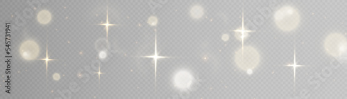 Light effect with lots of shiny shimmering particles isolated on transparent background. Vector star cloud with dust. 
