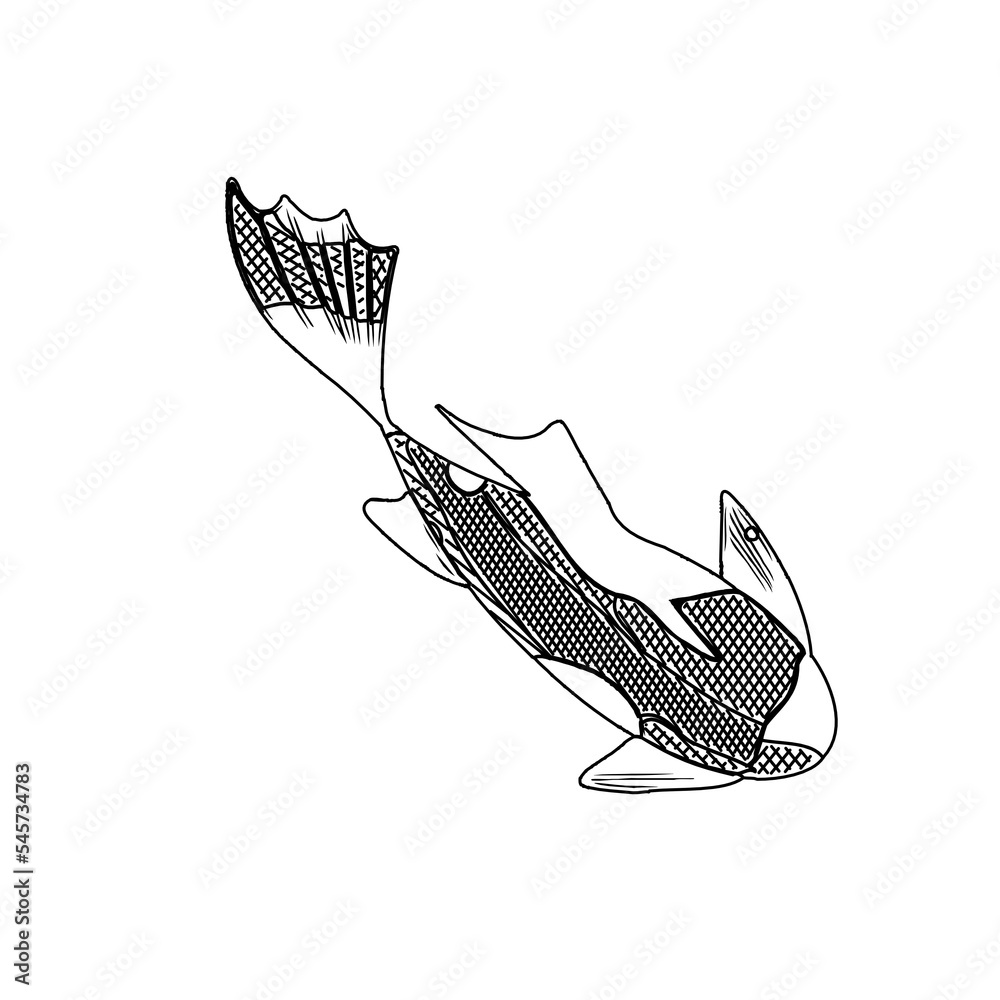Koi fish black and white sketch design with a transparent background