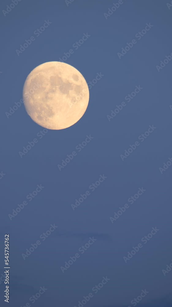 Rising Almost Full Moon in Blue Evening Sky Timelapse Vertical Video Rising Almost Full Moon in Blue Evening Sky Timelapse Vertical Video