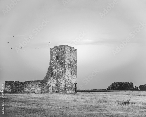 Grayscale shot of the ancient Csonka tower monument in Hungary  on grass fields photo