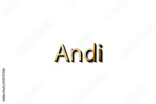 ANDI 3D MOCKUP