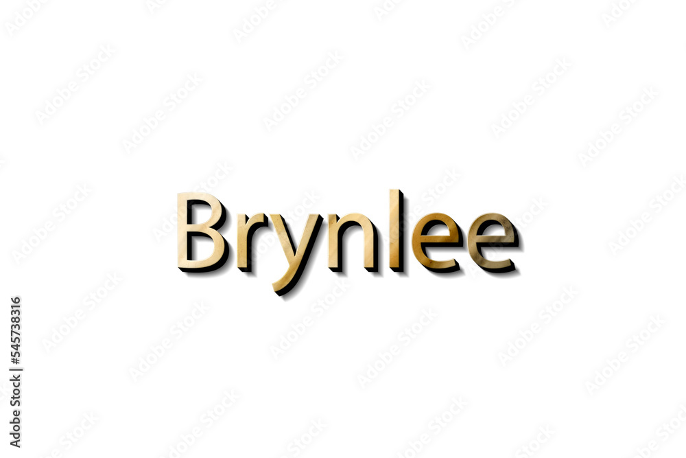 Brynlee 3d mockup Brynlee 3d mockup