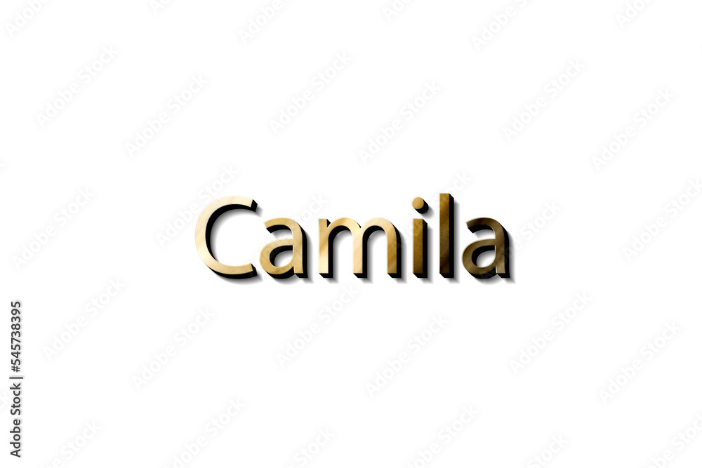 Camila 3d mockup name Camila 3d mockup name
