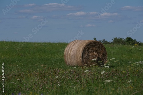Hay bale in the green field photo