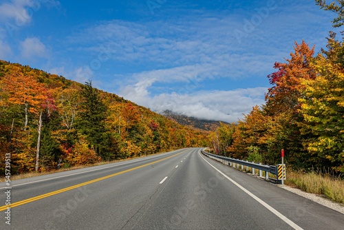 Beautiful autumn road with colorful trees on both sides © Sid80/Wirestock Creators