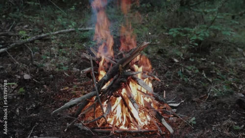 Closeup shot of a small burning forest in a fire Closeup shot of a small burning forest in a fire