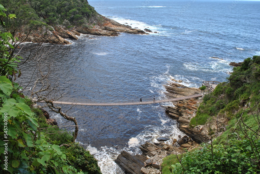 Obraz premium Tsitsikamma national park, South Arfica