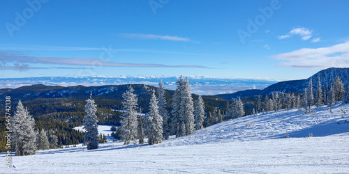 Winter snowy landscape with frozen trees in the mountains in eastern Oregon.