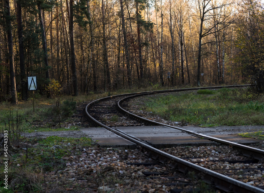 Tory kolejowe biegnące przez las jesienny . Zakręt i przejazd kolejowy . - obrazy, fototapety, plakaty 