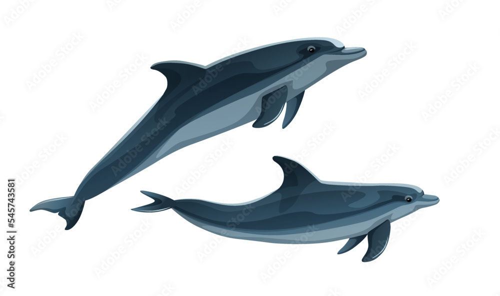 Obraz premium Pair of dolphins swimming isolated on white background. Marine wild life concept. Realistic style logo with couple of dolphins. Sea animal image. Friendly ocean mammal character. Vector illustration