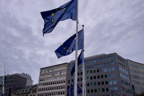 European Union flags waving outdoors with a cloudy sky in the background