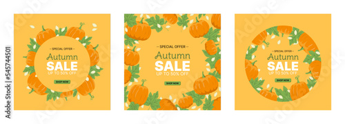 Set of autumn pumpkin frames with leaves and seeds. Flat, vector