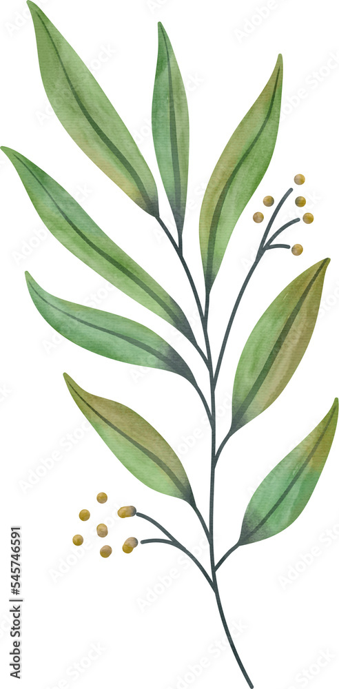 Watercolor leaf painting clipart png