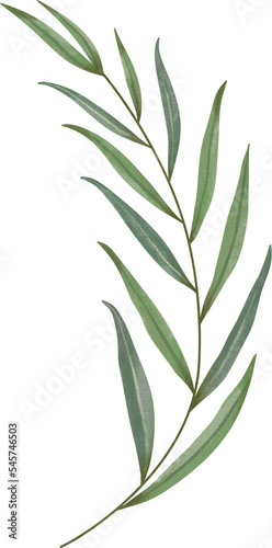 Watercolor leaf painting clipart png