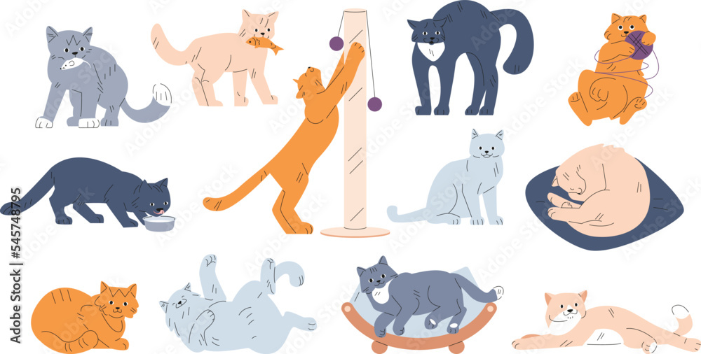 Obraz premium Cartoon cats characters. Cute various behavior funny cat. Fur kittens play, sleep and eat. Isolated playful kitty pets in different poses, kicky vector animal characters