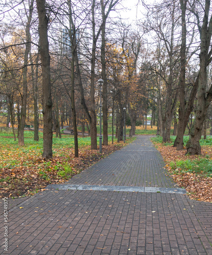 Alley of the Polytechnic Park in Kyiv leading to Victory Avenue