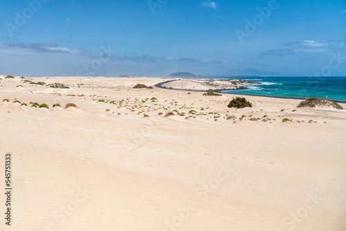Obraz na płótnie Playa de Corralejo, Fuerteventura, Canary Islands w salonie