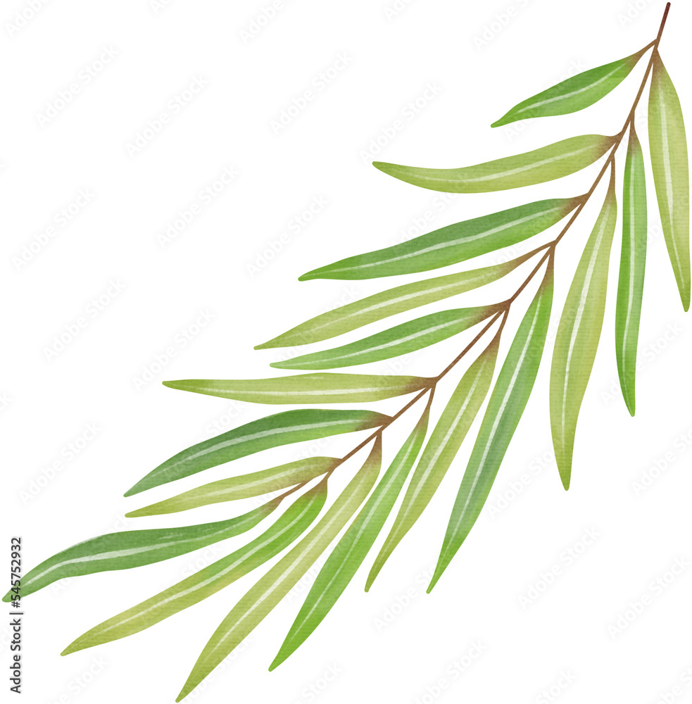 Fototapeta premium Watercolor leaf painting clipart png