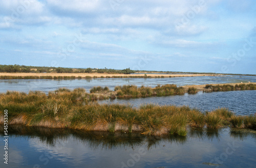 Réserve, Sentiers du littoral, Domaine de Certes et Graveyron, Bassin d'Arcachon, Gironde, 33, France