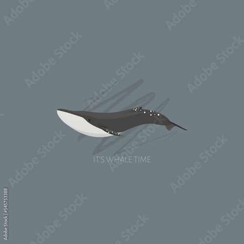 An isolated vector illustration of a whale in scandinavian colors. Underwater world, Marine life. World whale day