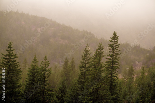 misty landscape mountain landscape in rain in autumn © magdagalkiewicz