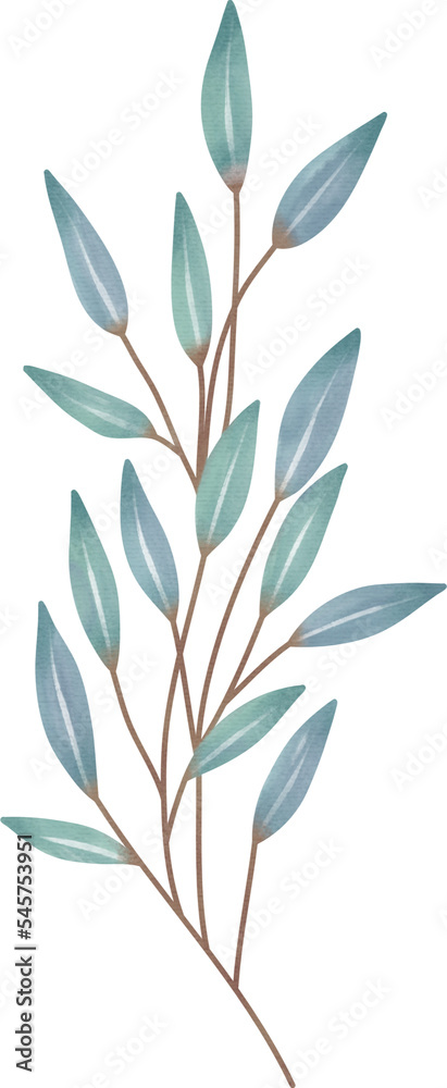 Watercolor leaf painting clipart png