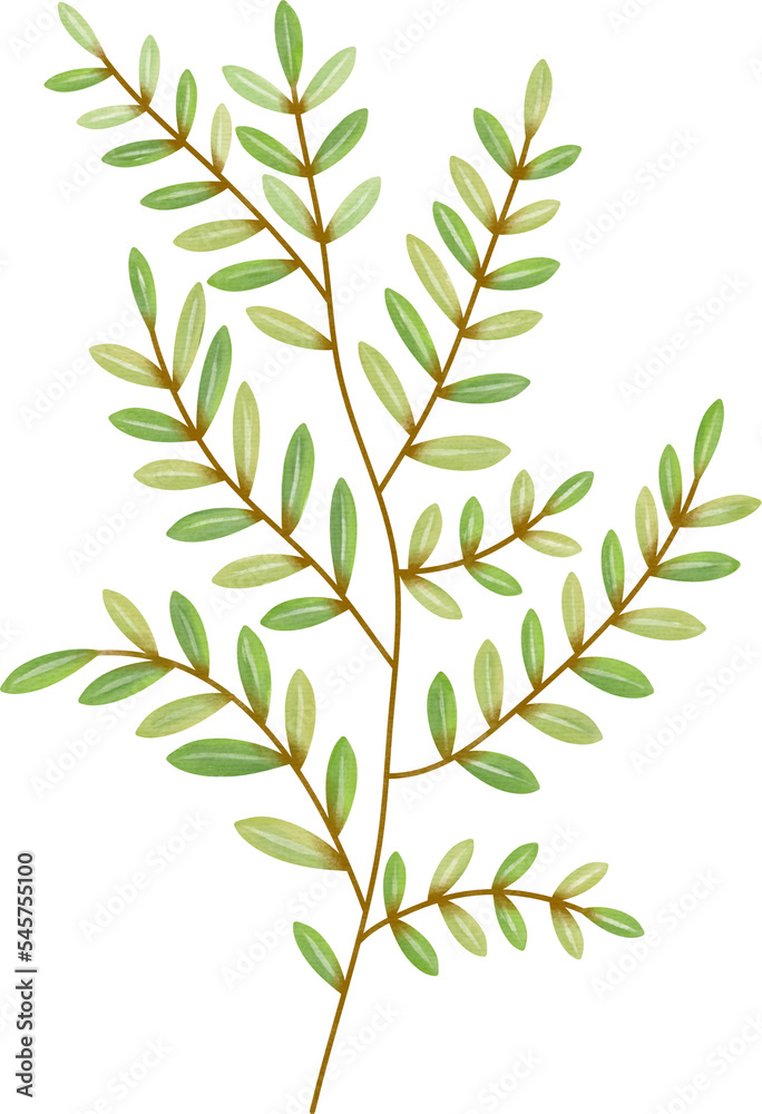 Watercolor leaf painting clipart png Watercolor leaf painting clipart png