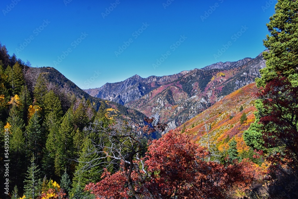 Pine Hollow hiking trail Mountain views by Timpanogos in the Wasatch Mountains Rocky Mountains, Utah. America. 