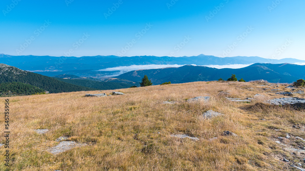 Aerial view of high mountains covered by green pine forest in Neila lagoons natural park with clouds below the peaks in the background in morning daylight, Neila, Burgos, Spain