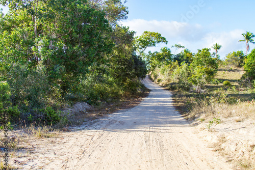 Sand road in the countryside of bahia  city of Conde  Brazilian coast  path with curb