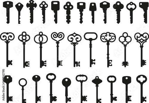 Fotografie, Tablou Antique key silhouettes