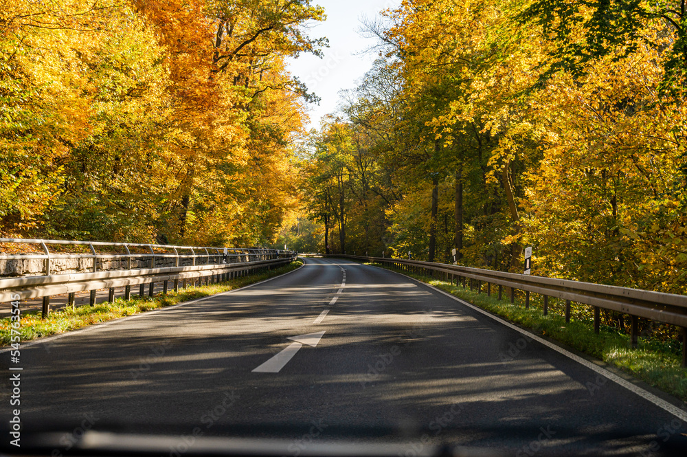 autumn on the road