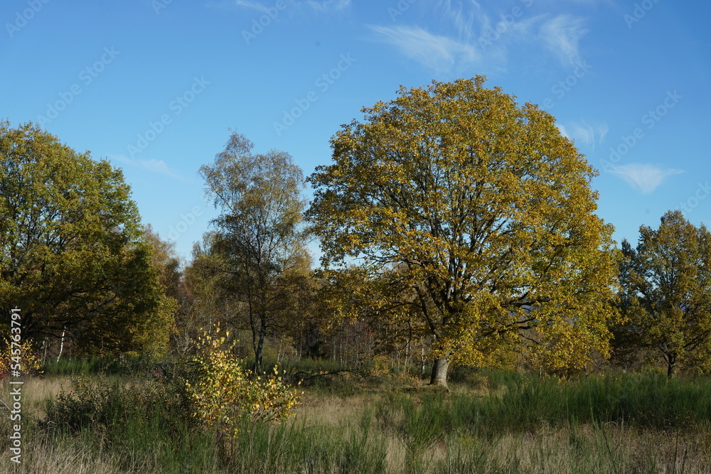 Herbst Wetter bei Sonnenschein und mit schönem blauen Himmel Herbst Wetter bei Sonnenschein und mit schönem blauen Himmel