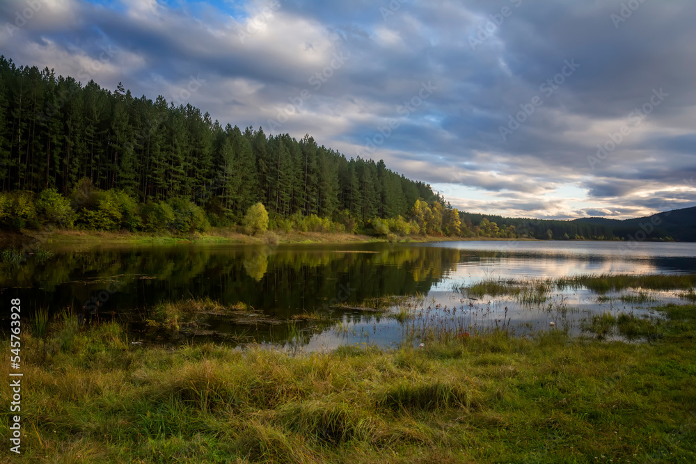 Trees reflecting in calm water surface.Bright and vibrant landscape scene.Nature background.